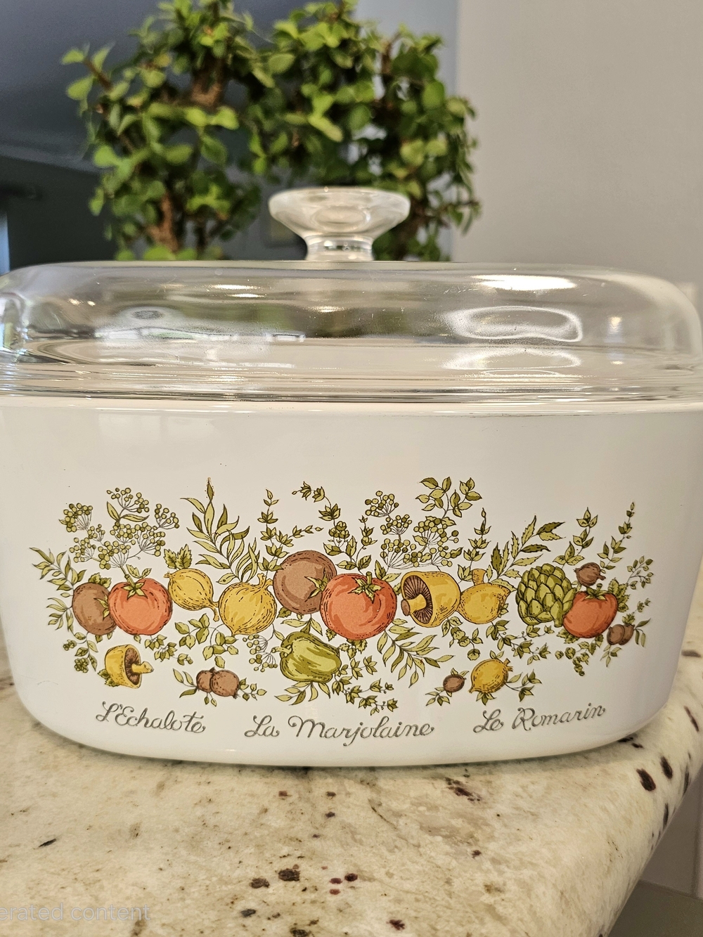 Casserole w Lid Corning Ware Vibrant Vegetable Scene Spice Of Life 5Qt Durable